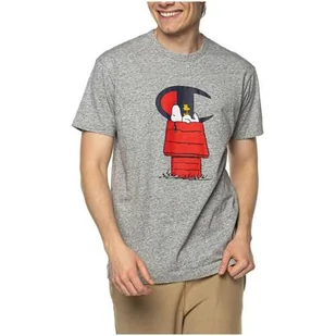 Koszulka sportowa męska Champion X Peanuts - Koszulki sportowe męskie - miniaturka - grafika 1