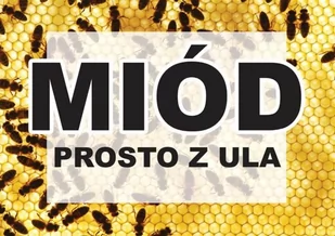 Średnia tablica reklamowa - wzór F245 - Akcesoria BHP - miniaturka - grafika 1