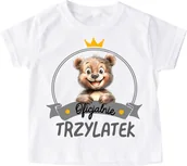 Koszulki dla chłopców - koszulka urodzinowa dla chłopca (3 latek) - miniaturka - grafika 1