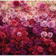 Fototapety - Fototapeta Kwiaty Róże Natura Romantyczna 350x250 cm Tapeta Do Sypialni Salonu Kuchni Na Flizelinie - miniaturka - grafika 1