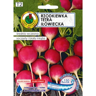 Rzodkiewka Tetra nasiona tradycyjne Pnos - Nasiona i cebule - miniaturka - grafika 1