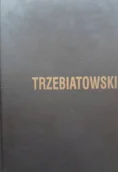 Książki o kulturze i sztuce - Janusz Trzebiatowski Malarstwo pastelowe - miniaturka - grafika 1