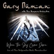 Metal, Punk - Gary Numan When The Sky Came Down Live At The Bridgewater Hall Manchester) CD/DVD) - miniaturka - grafika 1