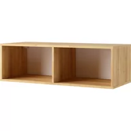 Regały - Regał Wiszący P100 C-07 Calabrini GIB Meble Dąb Artisan / Czarny Mat - miniaturka - grafika 1