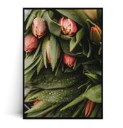 Plakaty - Fox Art Studio, Plakat Tulipany,  wymiary 70x100 cm - miniaturka - grafika 1