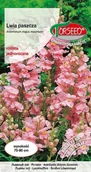 Nasiona i cebule - Nasiona Lwia paszcza różowa 1g - Torseed - miniaturka - grafika 1
