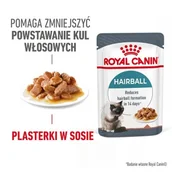 Mokra karma dla kotów - ROYAL CANIN Care Hairball Adult w sosie 12x85 g - miniaturka - grafika 1