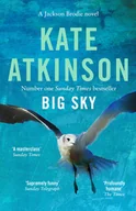 Obcojęzyczna fantastyka i horror - Kate Atkinson Big Sky - miniaturka - grafika 1