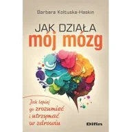 Psychologia - Jak działa mój mózg. Jak lepiej go zrozumieć.. - miniaturka - grafika 1