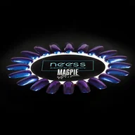 Lakiery hybrydowe - Neess Pyłek do paznokci hybrydowych Magpie Effect Granatowy 2g 3573 - miniaturka - grafika 1