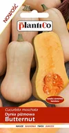 Nasiona i cebule - NASIONA Dynia Piżmowa Butternut 2g PLANTICO 401860 - miniaturka - grafika 1