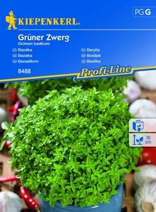 Bazylia Grüner Zwerg – Kiepenkerl - Nasiona i cebule - miniaturka - grafika 1
