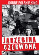 Filmy polskie DVD - Jarzębina Czerwona - miniaturka - grafika 1