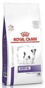 Sucha karma dla psów - Royal Canin Veterinary Diet Veterinary Diet Canine Dental Small Dog 1,5kg - miniaturka - grafika 1