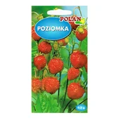 Nasiona i cebule - Poziomka bezrozłogowa REGINA nasiona 0,2g - miniaturka - grafika 1