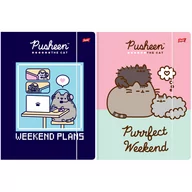Teczki i skoroszyty - 2 X TECZKA Z GUMKĄ A4 PUSHEEN UNIPAP, KAŻDA INNA - miniaturka - grafika 1