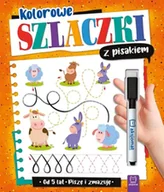 Książki edukacyjne - Kolorowe szlaczki z pisakiem Piszę i zmazuję 5 lat - miniaturka - grafika 1