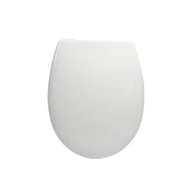 Deski sedesowe - Sensea Deska sedesowa wolnoopadająca wypinana Kery Steel - miniaturka - grafika 1