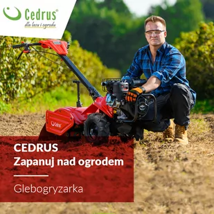 CEDRUS GLX480 GLEBOGRYZARKA SPALINOWA SAMOBIEŻNA Z NAPĘDEM KULTYWATOR CEDRUS GLX 480 6.5KM / 48 cm SILNIK LONCIN  - OFICJALNY DYSTRYBUTOR - AUTORYZOWANY DEALER CEDRUS - Glebogryzarki - miniaturka - grafika 18