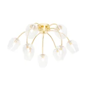 Oprawy, klosze i abażury - QAZQA Klasyczna lampa sufitowa złota ze szkłem 9 lampek - Elien - miniaturka - grafika 1