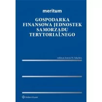 Meritum. Gospodarka finansowa jednostek.. - Finanse, księgowość, bankowość - miniaturka - grafika 1