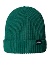 Czapki damskie - THE NORTH FACE Męska czapka beanie Fisherman - miniaturka - grafika 1