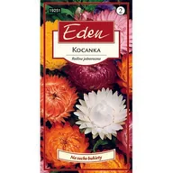 Nasiona i cebule - Kocanka Nieśmiertelnik mix 1 g Eden - miniaturka - grafika 1
