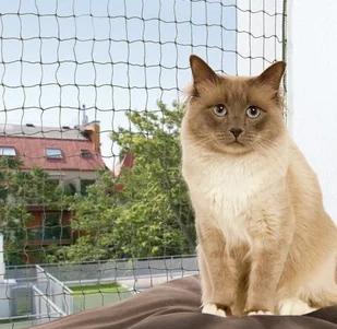 Trixie Siatka na okno zielona 6x3m [44294] 11625 - Pozostałe akcesoria dla kotów - miniaturka - grafika 4