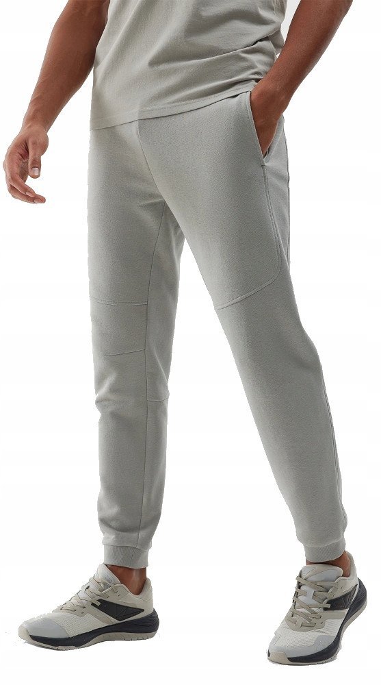 Męskie spodnie dresowe 4F TROM645 25S szary XXL