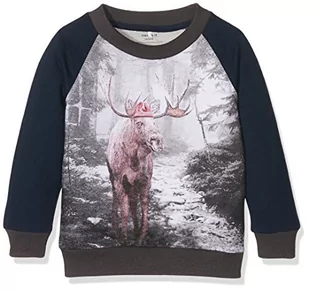 Name It Bluza chłopięca Nitwalle SWE Mz Ger, Wielokolorowy (sukienka blues), 92 - Bluzy dla chłopców - miniaturka - grafika 1