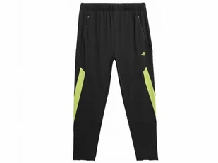 Spodnie męskie 4F głęboka czerń - Spodnie męskie - miniaturka - grafika 1