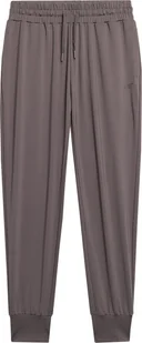 Spodnie damskie 4F F454 brązowe 4FWSS24TFTRF454 82S-L - Legginsy - miniaturka - grafika 1
