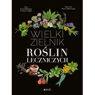 Dom i ogród - Wielki zielnik roślin leczniczych - miniaturka - grafika 1