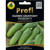 Nasiona i cebule - Ogórek gruntowy Passion F1 nasiona 35szt. Pnos - miniaturka - grafika 1