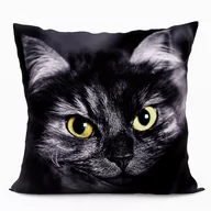Poduszki dekoracyjne - Poduszka dekoracyjna z wypełnieniem silikonowym KOT 40x40 cm - miniaturka - grafika 1