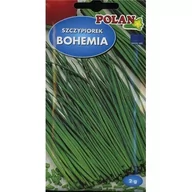 Nasiona i cebule - SZCZYPIOREK BOHEMIA 2G - miniaturka - grafika 1