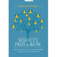 Poradniki dla rodziców - Katarzyna Droga Sekrety przodków - miniaturka - grafika 1