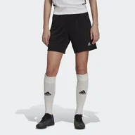 Piłka nożna - Entrada 22 Training Shorts - miniaturka - grafika 1