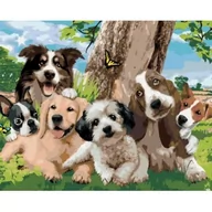 Malowanie po numerach - Norimpex Malowanie po numerach. Pieski pod drzewem 40 x 50 cm - miniaturka - grafika 1