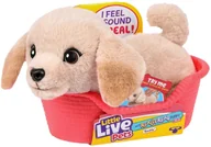 Zabawki interaktywne dla dzieci - Little Live Pets Moose Toys My Really Real Puppy Mini's - Golden Retriever Buddy - miniaturka - grafika 1
