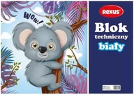 Szkolne artykuły papiernicze - Beniamin Blok techniczny S J - miniaturka - grafika 1