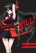 Komiksy dla dorosłych - Waneko Akame ga Kill Takahiro - miniaturka - grafika 1