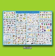 Akcesoria na biurko - Derform Podkład planszowy oklejany polsko-niemiecki DERF.SPON - miniaturka - grafika 1