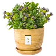 Donice - Doniczka ceramiczna 13x10 cm podstawka drewno brąz jasny - miniaturka - grafika 1