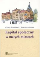 Finanse, księgowość, bankowość - Kapitał społeczny w małych miastach - miniaturka - grafika 1