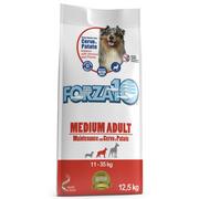Sucha karma dla psów - Forza10 Medium Maintenance Venison&Potato 15 kg - miniaturka - grafika 1