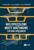 E-booki - nauka - Wieloprzęsłowe mosty skrzynkowe z betonu sprężonego - miniaturka - grafika 1
