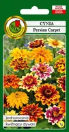 Nasiona i cebule - Cynia wąskolistna Persian Carpet 1 g PNOS - miniaturka - grafika 1
