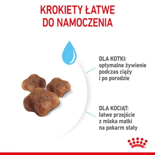 ROYAL CANIN  Mother&Babycat 2kg + niespodzianka dla kota GRATIS! - Sucha karma dla kotów - miniaturka - grafika 6