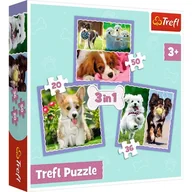 Puzzle - Trefl 3w1 Urocze pieski 34854 - miniaturka - grafika 1